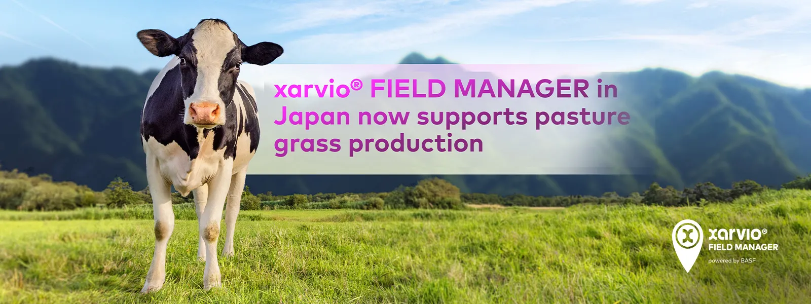 BASF Japan enhances xarvio® FIELD MANAGER with new features to boost pasture grass production for livestock feed